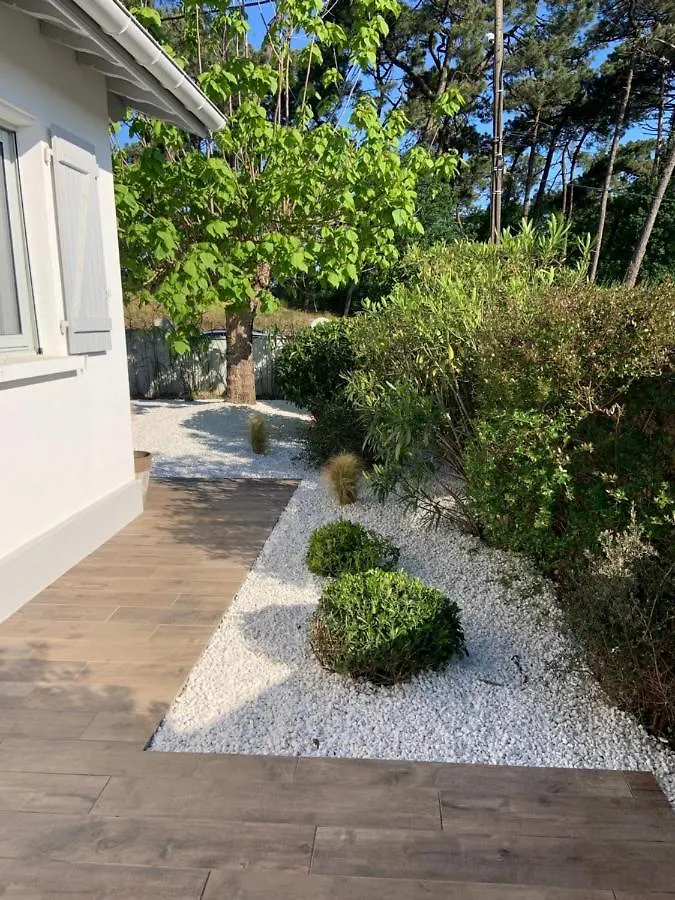 Villa 12 Pers Climatisee, Piscine Chauffee Couverte Ou Non,2Km Mer, Golf, Jardin Anglet France